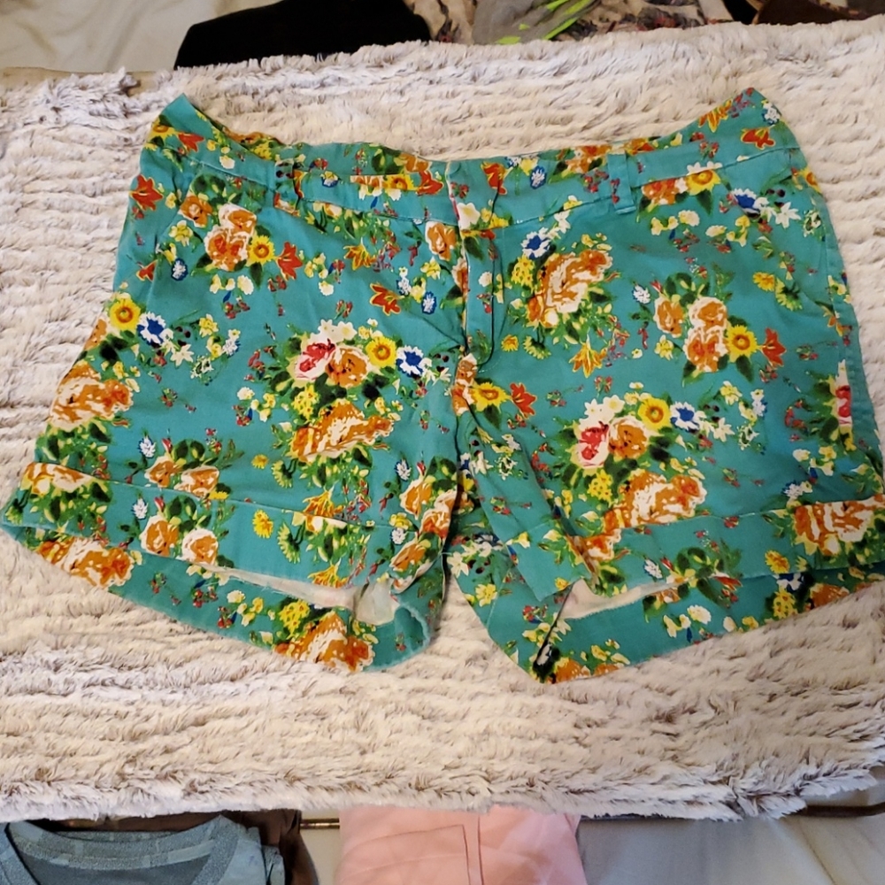 Dear John shorts size 30
